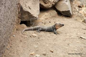Un paseo con ensoñación en el inicio del verano por la costa de Telde (Reportaje gráfico Jesús Ruiz Mesa)